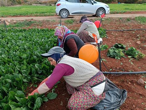 T­o­k­a­t­’­t­a­ ­D­ü­n­y­a­ ­K­a­d­ı­n­ ­Ç­i­f­t­ç­i­l­e­r­ ­G­ü­n­ü­ ­K­ö­y­ ­Z­i­y­a­r­e­t­i­ ­i­l­e­ ­K­u­t­l­a­n­d­ı­